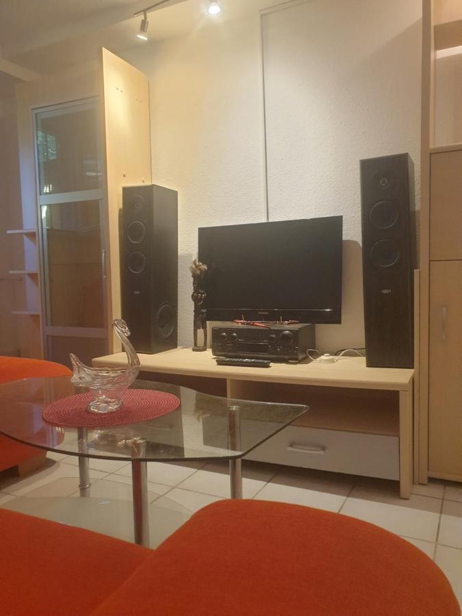 Sions Grosse Ferienwohnung Ferienwohnung Mit 3 Schlafzimmer, 2 Km Bis Zum Europapark Rust Каппель-Графенхаузен Экстерьер фото